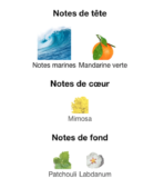 Giorgio-Armani-Acqua-di-Giò-Profondo-notes-Decanty_Tunisie