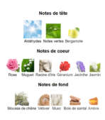 Calandre-Paco-Rabanne_Note_Decanty_Tunisie
