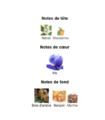Elie-Saab-Elixir-_Note_Decanty_Tunisie-
