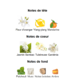 Elie-Saab-Le-Parfum-Lumière_Note_Decanty_Tunisie