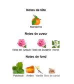Elie-Saab-Le-Parfum-Royal_Note_Decanty_Tunisie