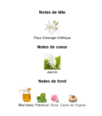 Elie-Saab-Le-Parfum_Note_Decanty_Tunisie