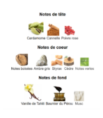 Lune-Feline-Atelier-des-Ors-Notes_Decanty_Tunisie