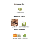 Ombré-Leather-Tom-Ford_Note_Decanty_Tunisie