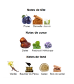 Rouge-Sarây-Atelier-des-Ors-_Note_Decanty_Tunisie