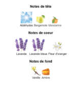 Yves-Saint-Laurent-Libre-L'Absolu-Platine--_Note_Decanty_Tunisie