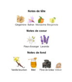 Yves-Saint-Laurent-Libre-Le-Parfum_Note_Decanty_Tunisie