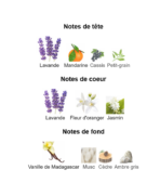 Yves-Saint-Laurent-Libre-_Note_Decanty_Tunisie