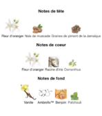 _Gucci-Guilty-Elixir-de-Parfum-notes-Decanty_Tunisie