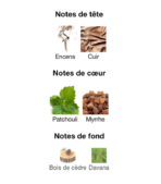 Hugo-Boss-Bottled-Absolu-notes--_Decanty_Tunisie