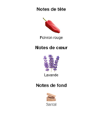 Hugo-Boss-The-Scent-Elixir-notes-Decanty-Tunisie