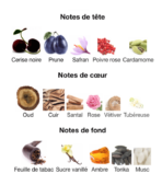 Montale-Infinity-Notes-decanty-tunisie