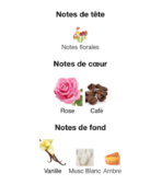 Montale-Intense-Cafe-Notes-Decanty-tunisie-