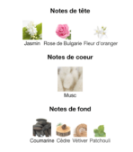 Narciso-Rodriguez-Poudrée-notes-Decanty_Tunisie