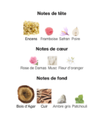 -Gucci-Intense-Oud-_Note_Decanty_Tunisie