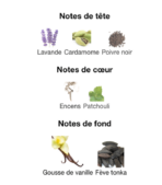 Paco-Rabanne-Invictus-Victory-Elixir-notes-Decanty_Tunisie