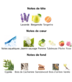 Paradiso-Azzurro-Roberto-Cavalli-notes-Decanty_Tunisie