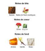 Rosendo-Mateu-Nº-5-Floral,-Amber,-Sensual-Musk-notes_Decanty_Tunisie