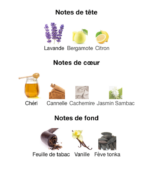 Xerjoff-XJ-1861-Naxos-NOTES-_Decanty_Tunisie