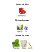 Chanel-Chance-Eau-de-Parfum-notes-Decanty_Tunisie