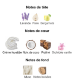 Cloud-Ariana-Grande-notes-Decanty_Tunisie