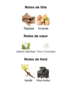 Dior-Hypnotic-Poison-Eau-de-Parfum---notes-Decanty_Tunisie