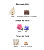 Givenchy-irrésistible-notes-Decanty_Tunisie