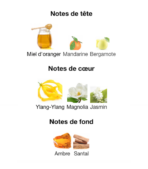 Guerlain-L'Instant-de-Guerlain-Eau-de-Parfum---notes-Decanty_Tunisie