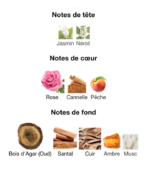 Guerlain-Les-Absolus-d'Orient-Santal-Royal-notes-Decanty_Tunisie