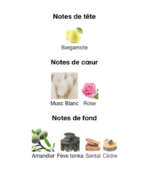 Guerlain-L'instant-Magic-Eau-de-Parfum-notes-Decanty_Tunisie