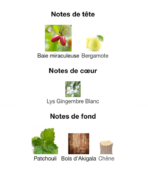 _Hermès-Barénia-notes-Decanty_Tunisie