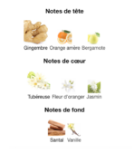 Hermès-Twilly-d’Hermès-notes-Decanty_Tunisie