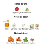 Jean-Paul-Gaultier-Scandal-notes-Decanty_Tunisie