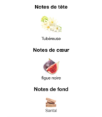 Jean-Paul-Gaultier-Scandale-Absolu--notes-Decanty_Tunisie