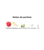 _Jean-Paul-Gaultier-So-Scandal!-notes-Decanty_Tunisie