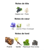 Lancôme-La-Vie-Est-Belle-notes-Decanty_Tunisie