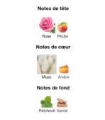 Narciso-Rodriguez-for-Her-Eau-de-Parfum-notes-Decanty_Tunisie