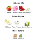 Once-Lorev--notes-Decanty_Tunisie