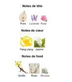 _Rabanne-Million-Gold-For-Her-notes-Decanty_Tunisie