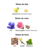 Valentino-Donna-Valentino-notes-Decanty_Tunisie