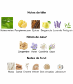 212-Men-Carolina-Herrera--notes-Decanty_Tunisie