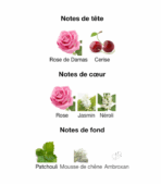 Elixir-Love-Elie-Saab-Decanty_NotesTunisie