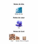 Kenzo-Homme-Indigo-Kenzo-notes-Decanty_Tunisie