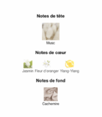 Pure-Musc-For-Her-Narciso-Rodriguez-notes-Decanty_Tunisie