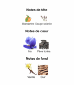 Valentino-Uomo-Intense-Valentino-notes-Decanty_Tunisie
